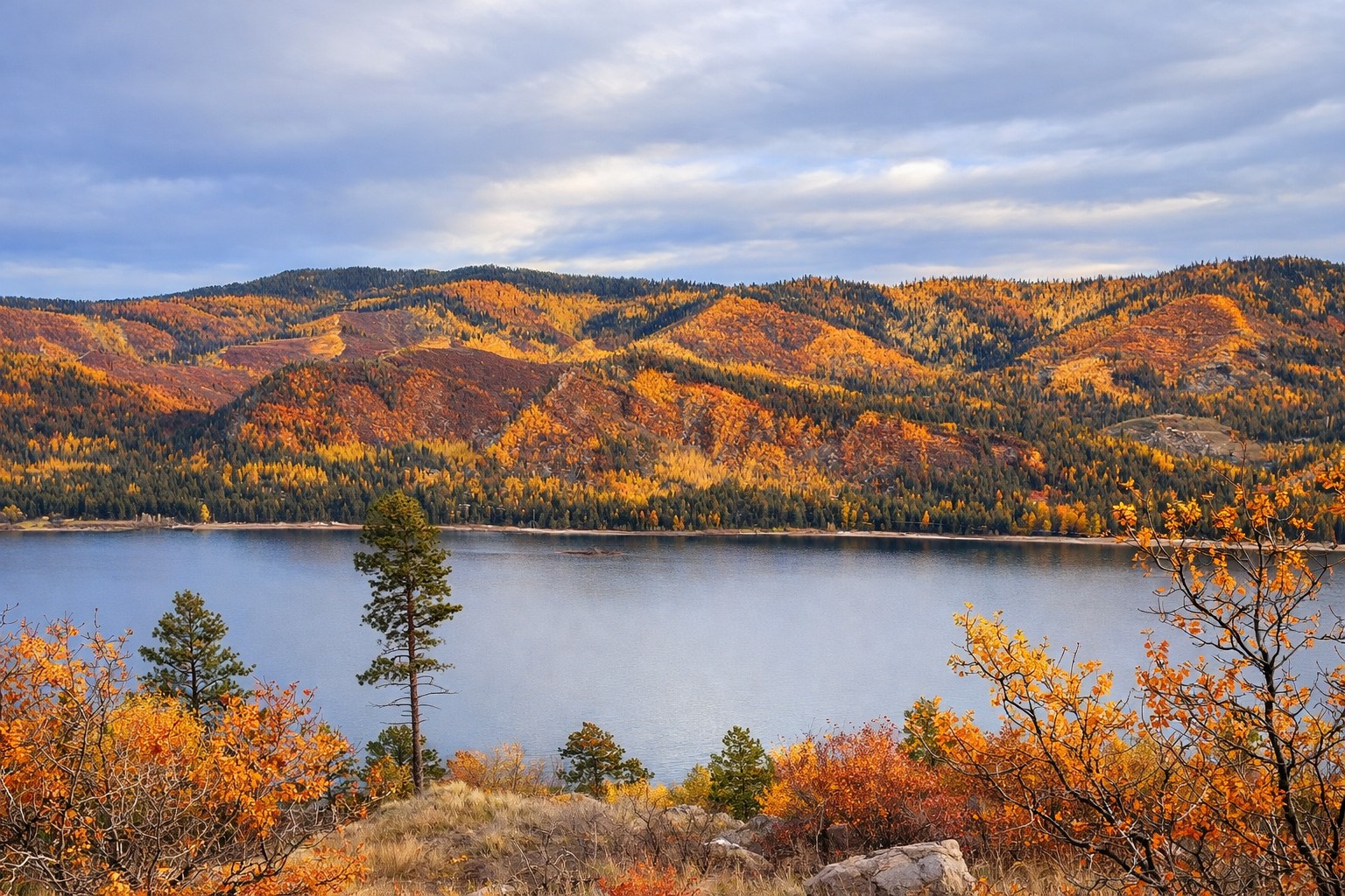 Owner-supplied photograph: Lake-facing property view